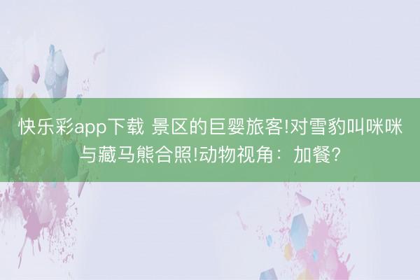快乐彩app下载 景区的巨婴旅客!对雪豹叫咪咪与藏马熊合照!动物视角:加餐?